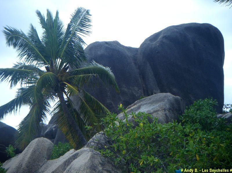 Les plages d'Anse Source d'Argent (14).JPG